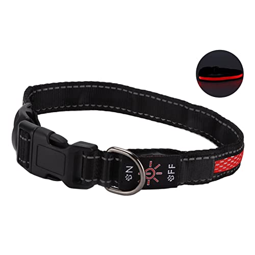 Leuchtendes Katzenhalsband, LED-Hundehalsband, Leuchtendes Hundehalsband mit Reflektierenden Streifen, Leuchtende Hundehalsbänder, Wiederaufladbar, Leuchtet Im Dunkeln, von ZAICOLER