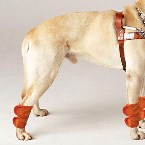 ZAICOLER Leckmanschette für das Hinterbein von Hunden, Hunde-Beinbandage, Schützt Wunden, Leggings, Schutzbandage, 2 Stück, Hunde-Vorderbein-Kompressionsbandage, Wickelmanschette für von ZAICOLER