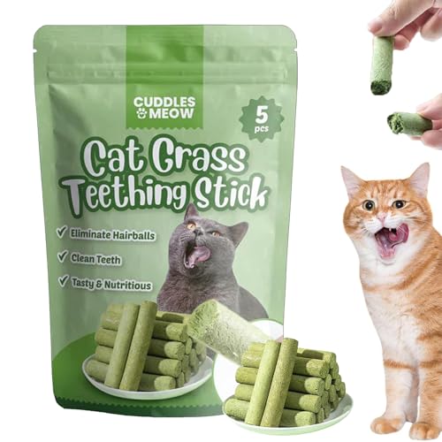 ZANWANXIN Berdexa Cat Grass Teething Stick, Cat Teeth Cleaning Cat Grass Stick, Chew Sticks for Cats, Cat Grass Sticks for Indoor Cats, Cat Grass Chew Sticks for Hairball Removal (1PCS) von ZANWANXIN