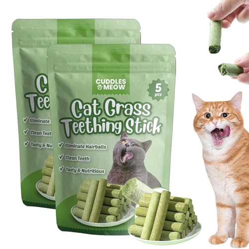 ZANWANXIN Berdexa Cat Grass Teething Stick, Cat Teeth Cleaning Cat Grass Stick, Chew Sticks for Cats, Cat Grass Sticks for Indoor Cats, Cat Grass Chew Sticks for Hairball Removal (2PCS) von ZANWANXIN