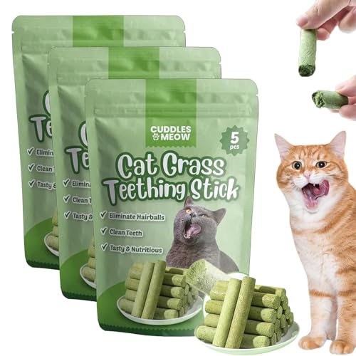 ZANWANXIN Berdexa Cat Grass Teething Stick, Cat Teeth Cleaning Cat Grass Stick, Chew Sticks for Cats, Cat Grass Sticks for Indoor Cats, Cat Grass Chew Sticks for Hairball Removal (3PCS) von ZANWANXIN