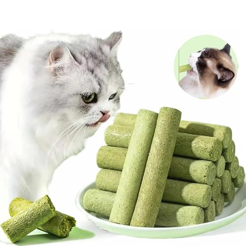 ZANWANXIN Berdexa Cat Grass Teething Sticks, Cat Teeth Cleaning Cat Grass Stick, Edible Cat Grass Stick Snack, Chew Sticks for Cats for Increase Appetite and Hairball Removal (10 Root Bag Packing) von ZANWANXIN