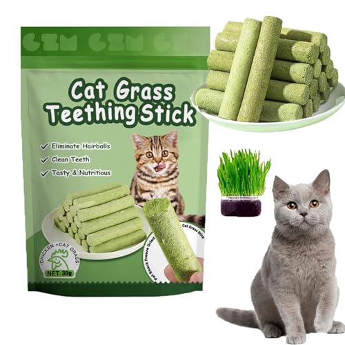 ZANWANXIN Berdexa Cat Grass Teething Sticks, Chew Sticks for Cats, Cat Teeth Cleaning Cat Grass Stick, Natural Catnip Toys Sticks for Increase Appetite and Hairball Removal (1 pcs) von ZANWANXIN