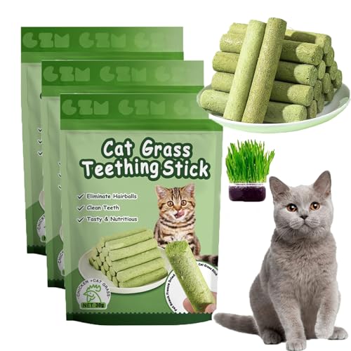 ZANWANXIN Berdexa Cat Grass Teething Sticks, Chew Sticks for Cats, Cat Teeth Cleaning Cat Grass Stick, Natural Catnip Toys Sticks for Increase Appetite and Hairball Removal (3 pcs) von ZANWANXIN