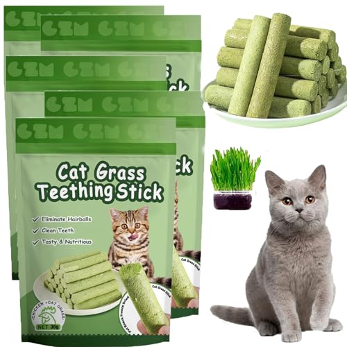 ZANWANXIN Berdexa Cat Grass Teething Sticks, Chew Sticks for Cats, Cat Teeth Cleaning Cat Grass Stick, Natural Catnip Toys Sticks for Increase Appetite and Hairball Removal (5 pcs) von ZANWANXIN