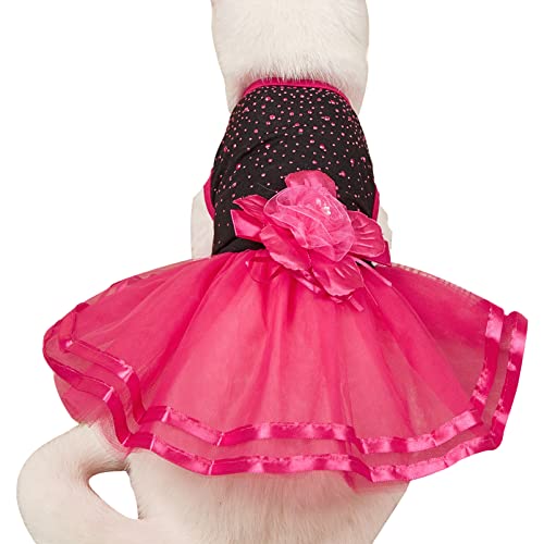 Hunde Kleider Besticktes Hochzeitskleid Tutu Kleid Prinzessinenkleid Katzen Kleidung Hunderock Rose L von ZAOWU