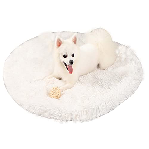 Hundebett Bettmatte für Hunde Weiches Plüsch Hundebett Waschbare Katzenbettmatte Weiche Warme Decke Weiß Durchmesser 40cm von ZAOWU