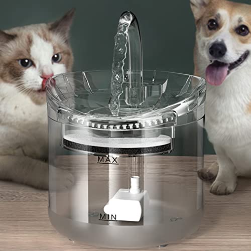 ZASCHMOY Katzenwasserbrunnen Hundewasserspender, 2L Super Leiser Automatischer Haustierbrunnen Hundewasserspender mit Ersatzfiltern für Katzen, Hunde (4 Packung) von ZASCHMOY