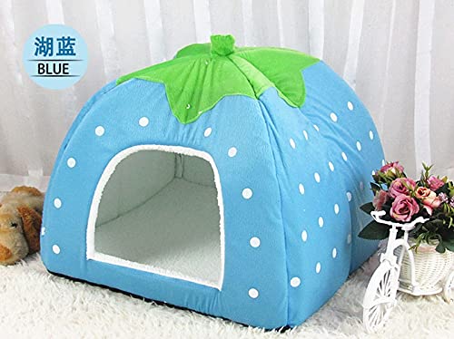 ZAW Hundebett Heißer Nette Haustierbedarf Hundehaus Weiche Rosa Katzen Kaninchen Bett Haus Kennel Doggy Warme Waschbare Kissenkörbe for Welpen Home Katzenbett (Color : Blue, Größe : 31x31cm) von ZAW