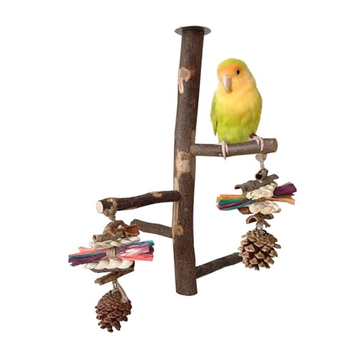 Vogelständer aus Holz, sicheres und komfortables Wohnumfeld für Vögel, geeignet für Vogelliebhaber und Zuchteinrichtungen, Papageienständer, Spielzeug, Vogelleiter, Sitzstange, Käfig, von ZBIianxer