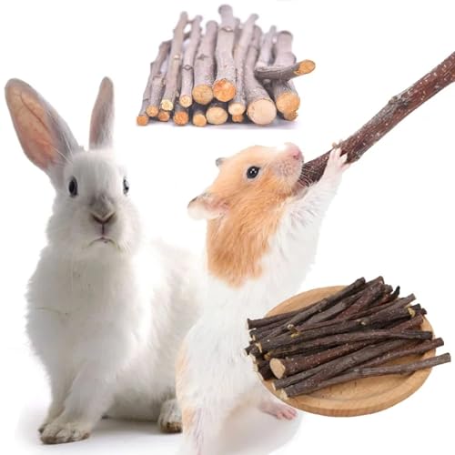 ZDL Kaninchen Spielzeug Kauspielzeug,Hamster Spielzeug,Meerschweinchen Spielzeug aus Holz Apfelhölzer für Kaninchen, Hamster, Meerschweinchen, Chinchilla Leckerli von ZDL