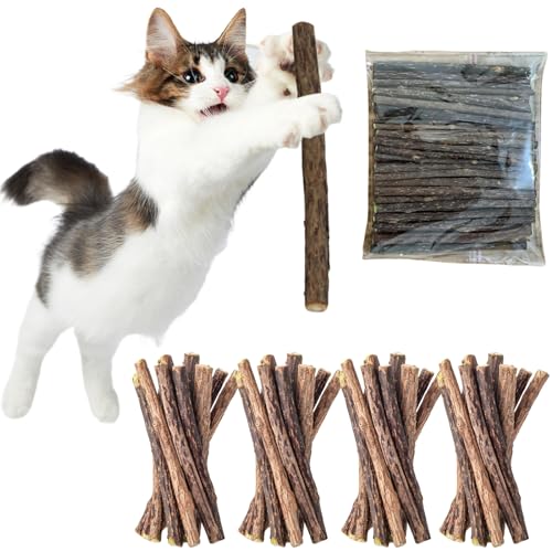 ZDL Katzenminze Sticks,40 Stück Matatabi-Kausticks,Matatabi Katzen Kauhölzer, Katzenminze Spielzeug,Katzen Kauhölzer Sticks für Katzen,Katzenminze Sticks zum Schleifen von Zähnen,Matatabi Zahnpflege von ZDL