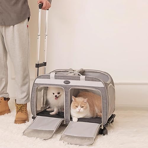 Transportbox Hund, Transportbox Katze, Katzentragetasche, Katzentragetasche for 2 Katzen, Großes Doppelfach, Haustiertragetasche mit Rollen von ZDMZR