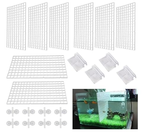 ZDNT 8 Stück Aquarium Trennwand Aquarium Tank Grid Trennung Brett Aquarium Isolation Kunststoff Gitter Fisch Tank Isolation Divider mit 8 Aquarium Divider Saugnap für Aquarium Unten Box,weiß ZDNT 8 Stück Aquarium Trennwand Aquarium Tank Grid Trennung Brett Aquarium Isolation Kunststoff Gitter Fisch Tank Isolation Divider mit 8 Aquarium Divider Saugnap für Aquarium Unten Box,weiß von ZDNT