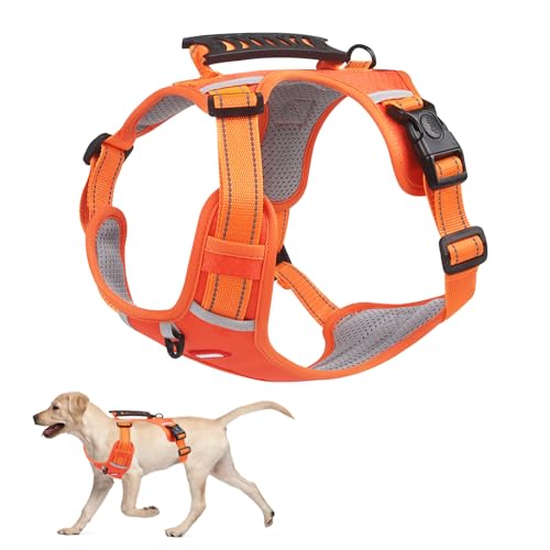 1 Packung Haustier-No-Pull-Hundegeschirr, Verstellbares Haustier-Reflexstreifengeschirr, Leicht Zu Kontrollierender Gehgriff, Geeignet für Kleine und Mittelgroße Hunde (Orange, S) von ZEACCT