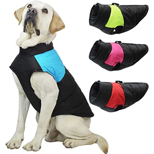 ZESLIV Hunde Winterjacke Outdoor Hundemantel aus Baumwolle für kleine Mittlere große Hunde Haustier Hundejacke reflektierende Jacke Hunde Thermo Jacke Winterweste Grün L von ZESLIV