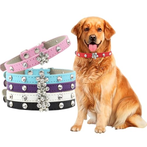 ZESLIV Hundehalsband Katzen Halsband aus PU Leder, 1.0 * 25CM Halsband für Haustier kleine mittelgroße große Hunde, Verstellbares Halsband, Lila von ZESLIV