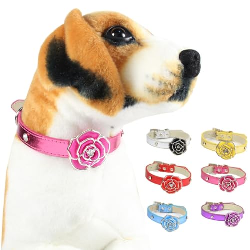 ZESLIV Hundehalsband Katzen Halsband aus PU Leder, 1.5 * 30CM Haustier Halsband, Verstellbares Halsband für kleine mittelgroße große Hunde, Gold von ZESLIV