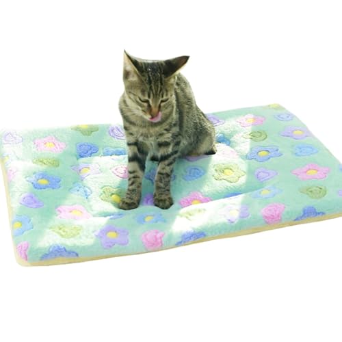 ZESLIV Hundematte Katzenmatte Flauschig, 100x70CM Haustier Flanell Decken, Hundebett Matte Schlafplatz für Hund Katzen, Grün von ZESLIV