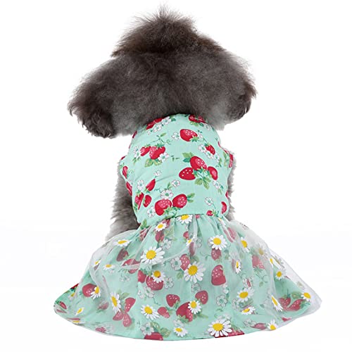 ZESLIV Pet Skirt Puppy Princess Skirt Pet Summer Apparel für kleine Hunde und Katzen Blumenrock von ZESLIV