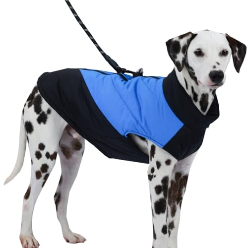 ZESLIV Warme Hundejacke Winterweste wasserdichte Jacke Gepolstert Hunderegenmantel für Kleine Mittelgroße Große Hunde, Blau von ZESLIV