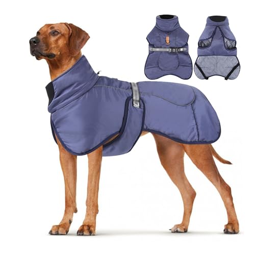 ZF YLYH Hundejacke Verstellbare Wasserdichter Warmer Hund Wintermantel für Kleine Mittel Große Hunde, Hundemantel für Teddy Labrador Chihuahua Beagle(Blue,2X-Large) von ZF YLYH