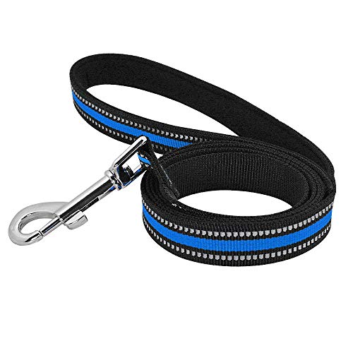 120Cm Hundeleine Blei Reflektierende Nylon Pet Walking Running Hundetrainingsleinen Seil Für Kleine Mittelgroße Hunde Langlebig 4 Farben-Blau von ZHANGXIANG