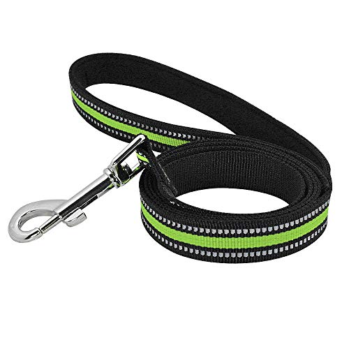 120Cm Hundeleine Blei Reflektierende Nylon Pet Walking Running Hundetrainingsleinen Seil Für Kleine Mittelgroße Hunde Langlebig 4 Farben-Grün von ZHANGXIANG