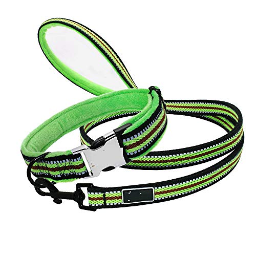 Weich Gepolstertes Hundehalsband Und Leinen Set Personalisiertes Reflektierendes Hundehalsband Aus Nylon Personalisierte Haustierhalsbänder Für Kleine Mittelgroße Hunde-Grün_L. von ZHANGXIANG