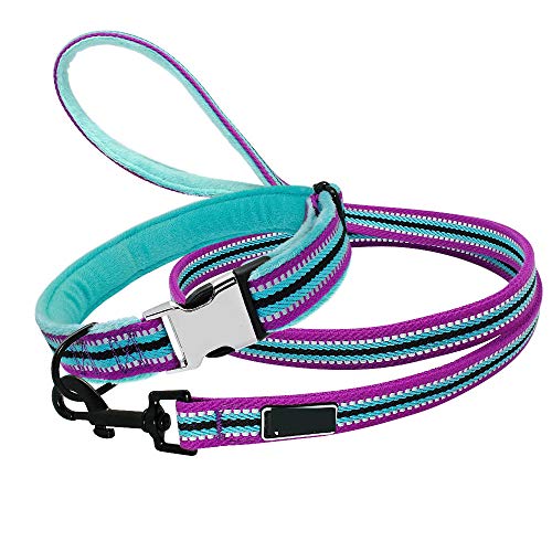 Weich Gepolstertes Hundehalsband Und Leinen Set Personalisiertes Reflektierendes Hundehalsband Aus Nylon Personalisierte Haustierhalsbänder Für Kleine Mittelgroße Hunde-Hellblau_L. von ZHANGXIANG