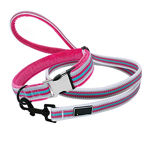 Weich Gepolstertes Hundehalsband Und Leinen Set Personalisiertes Reflektierendes Hundehalsband Aus Nylon Personalisierte Haustierhalsbänder Für Kleine Mittelgroße Hunde-Pinke Farbe_L. von ZHANGXIANG