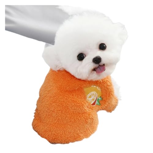 Hundekleidung Warmes Welpenoutfit Chihuahua Haustierkleidung für kleine Hunde Mantel Hoodie Obst Haustierkleidung (Farbe: Orange, Größe: XL) von ZHAOAM