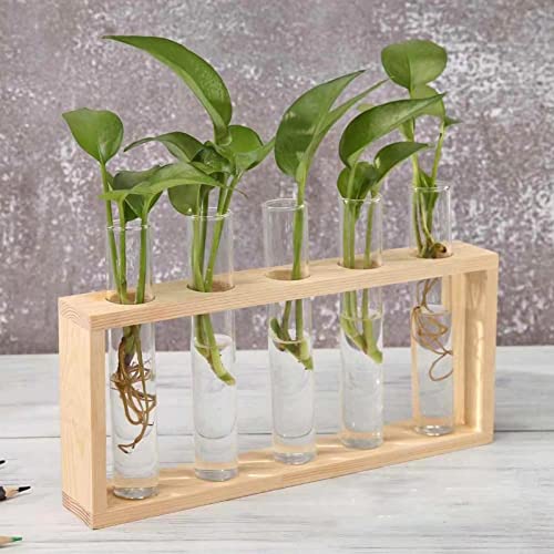 ZHDOKA Tisch-Glas-Pflanzgefäß, Pflanzenzuchtstation, 5 Glas-Reagenzgläser, Hydrokultur-Pflanzenhalter, Desktop-Pflanzen-Terrarium-Set, Pflanzenstarter, Glasröhren für Zuhause, Büro, Blumenarrangement von ZHDOKA