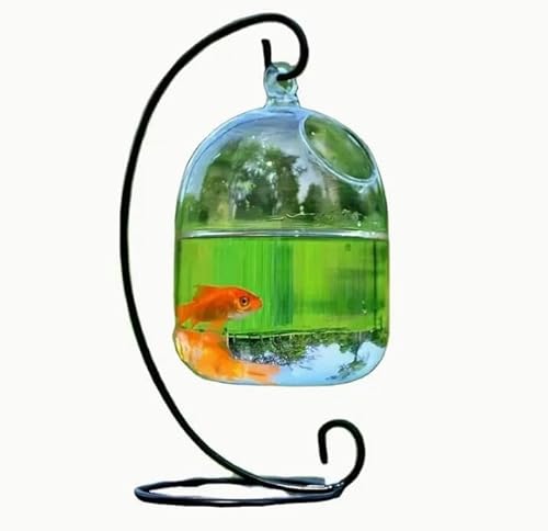 Kreative Glasfischschale mit Ständer für Heimdekoration – kleines Tischaquarium mit hängendem Design und schwarzem Ständer von ZHENGE