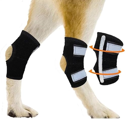 ZHHSUNY 1 Paar Hunde-Sprunggelenk-Bandage mit reflektierenden Sicherheitsgurten für Hinterbein-Wunden, Heilung und Verletzungen und Verstauchungen durch Arthritis (XL) von ZHHSUNY