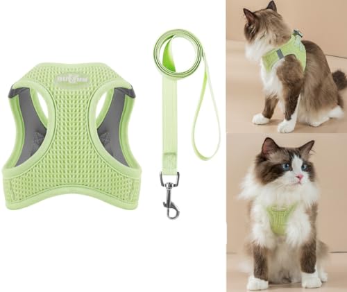 ZHHSUNY Katzengeschirr und Leine, Set zum Spazierengehen, verstellbares weiches Kätzchengeschirr und Leine, Set Weste mit reflektierendem Streifen für extra kleine Katzen, ausbruchsicher (Grün, XS) von ZHHSUNY