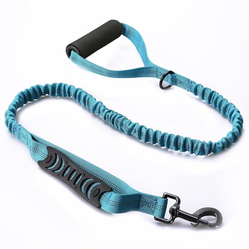 ZHHSUNY Taktische Trainingsleine für Hunde, Bungee-Leine mit 2 Kontrollgriffen, Nylon-Leinen mit explosionsgeschützten, elastischen reflektierenden Nähten (blau) von ZHHSUNY