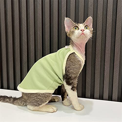 ZHIHAN Sphinx Cat Clothes Haarlose Katze Devon Cotton Stretch Camisole,Grün,XXXL+ von ZHIHAN