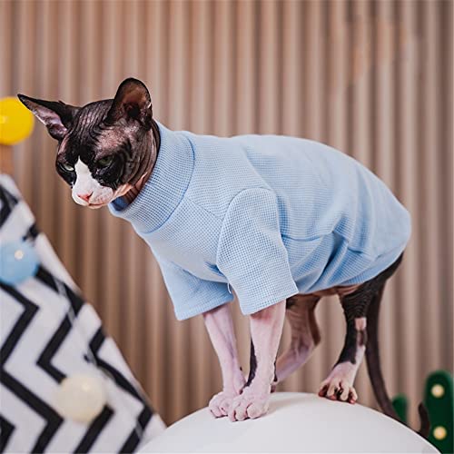 ZHIHAN Sphinx Katzenkleidung Haarlose Katze Devon Herbst Einfarbiger Pullover Baumwollhemd mit Bodenbildung,Blau,L von ZHIHAN