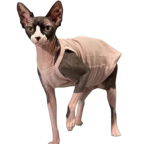 ZHIHAN Sphinx Katzenkleidung haarloses Katzenunterhemd Frühling und Sommer Unterhemd, Farbe 1,XXXL von ZHIHAN