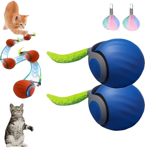 Speedy Tail 2.0, Speedy Tail 2.0 Cat Toy, Speedy Tail Cat Toy, Interactive Cat Toys for Indoor Cats, Automatic Moving Cat Toy Ball, USB Rechargeable Cat Toys Ball, with Replacement Tail (Blue*2) von ZHKVAG