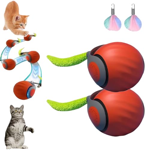 Speedy Tail 2.0, Speedy Tail 2.0 Cat Toy, Speedy Tail Cat Toy, Interactive Cat Toys for Indoor Cats, Automatic Moving Cat Toy Ball, USB Rechargeable Cat Toys Ball, with Replacement Tail (Orange*2) von ZHKVAG