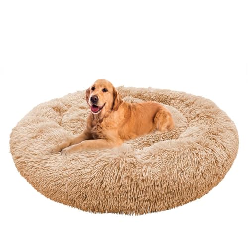 ZHULONGRUSHUI Hundebett flauschig,Donut Kissen,Flauschiges Hundebett für große,Rund Plüsch Hundesofa Hundekörbchen Katzenkissen Flauschig,waschbar,Mittelgroße und Große Hunde(Aprikosenfarbe) von ZHULONGRUSHUI