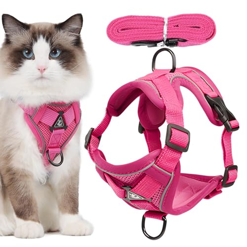 Verstellbares Katzengeschirr Ausbruchsicher, Verstellbar Katzengeschirr Mit Leine Ausbruchsicher Und Reflektierend Streifen Katze Brustgeschirr Für Katzen Kitten Hunde Welpen, S/M/L/XL von ZHUMCCY