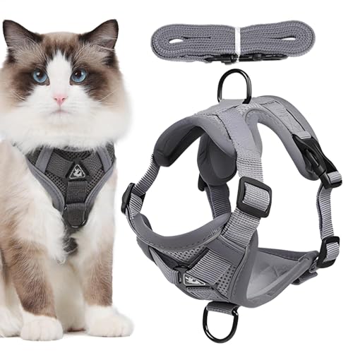 Verstellbares Katzengeschirr Ausbruchsicher, Verstellbar Katzengeschirr Mit Leine Ausbruchsicher Und Reflektierend Streifen Katze Brustgeschirr Für Katzen Kitten Hunde Welpen, S/M/L/XL von ZHUMCCY