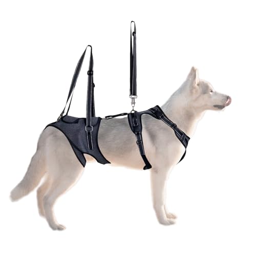 ZHUMCCY Ganzkörper-Hundegurtsystem - Mobilitätshilfegeschirr für Hunde mit Griffhalterung | Tragehilfe Bei Bewegungseinschränkungen Verletzungen Rehabilitation Training Für Ältere Hunde ZHUMCCY Ganzkörper-Hundegurtsystem - Mobilitätshilfegeschirr für Hunde mit Griffhalterung | Tragehilfe Bei Bewegungseinschränkungen Verletzungen Rehabilitation Training Für Ältere Hunde von ZHUMCCY