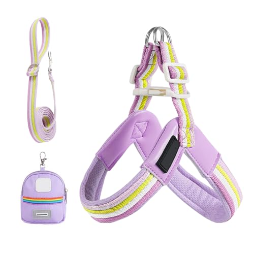 ZHUMCCY Hundegeschirr Gurt,Verstellbares Welpen Brustgeschirr Mit Gurt - Praktische Aufbewahrungstasche Antidreh-Ausrüstung Für Spaziergänge Wanderungen Park Camping ZHUMCCY Hundegeschirr Gurt,Verstellbares Welpen Brustgeschirr Mit Gurt - Praktische Aufbewahrungstasche Antidreh-Ausrüstung Für Spaziergänge Wanderungen Park Camping von ZHUMCCY
