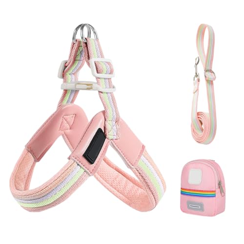 ZHUMCCY Hundegeschirr Und Gurt Set - Verstellbares Haustier Brustgeschirr Hundegurt | Praktische Aufbewahrungstasche Antidreh-Ausrüstung Für Spaziergänge Wanderungen Park Camping ZHUMCCY Hundegeschirr Und Gurt Set - Verstellbares Haustier Brustgeschirr Hundegurt | Praktische Aufbewahrungstasche Antidreh-Ausrüstung Für Spaziergänge Wanderungen Park Camping von ZHUMCCY