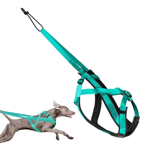 ZHUMCCY Hundegeschirr Zum Ziehen - Reflektierendes Großes Hundegeschirr - Komfortabler Verstellbarer Gurt Für Spazierengehen Sport Training Schlittenziehen Outdoor Aktivitäten ZHUMCCY Hundegeschirr Zum Ziehen - Reflektierendes Großes Hundegeschirr - Komfortabler Verstellbarer Gurt Für Spazierengehen Sport Training Schlittenziehen Outdoor Aktivitäten von ZHUMCCY