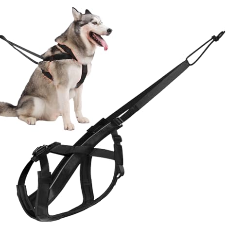 ZHUMCCY Schlittenhund Geschirr - Reflektierendes Großes Hundegeschirr - Komfortabler Verstellbarer Gurt Für Spazierengehen Sport Training Schlittenziehen Outdoor Aktivitäten ZHUMCCY Schlittenhund Geschirr - Reflektierendes Großes Hundegeschirr - Komfortabler Verstellbarer Gurt Für Spazierengehen Sport Training Schlittenziehen Outdoor Aktivitäten von ZHUMCCY